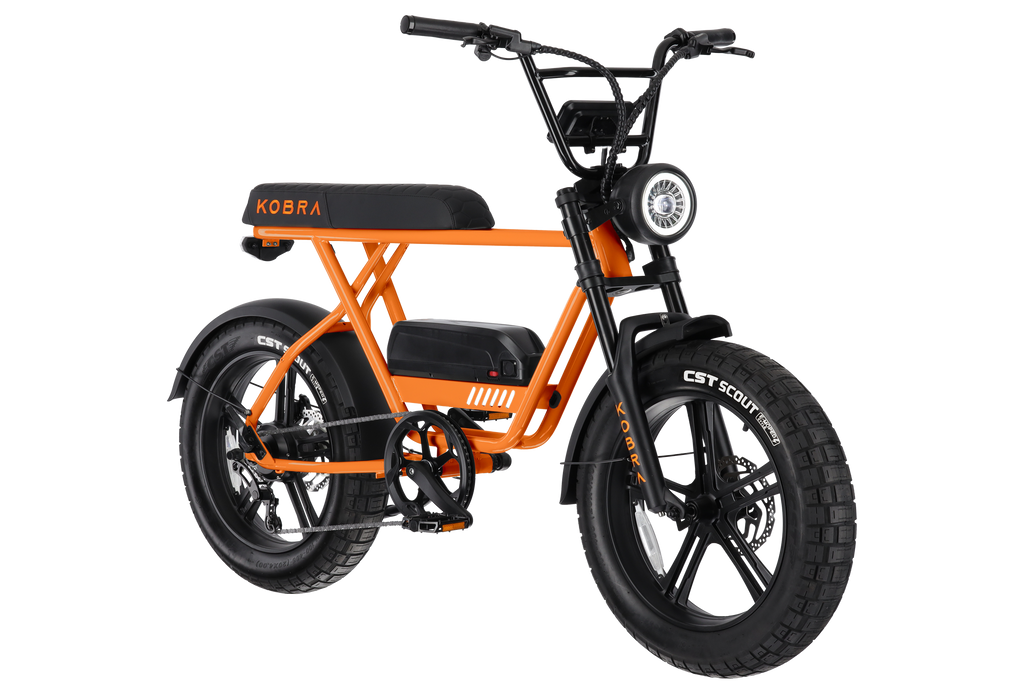 KOBRA V1.2 Fatbike Custom – 250 W, hydraulische remmen & 768 Wh accu