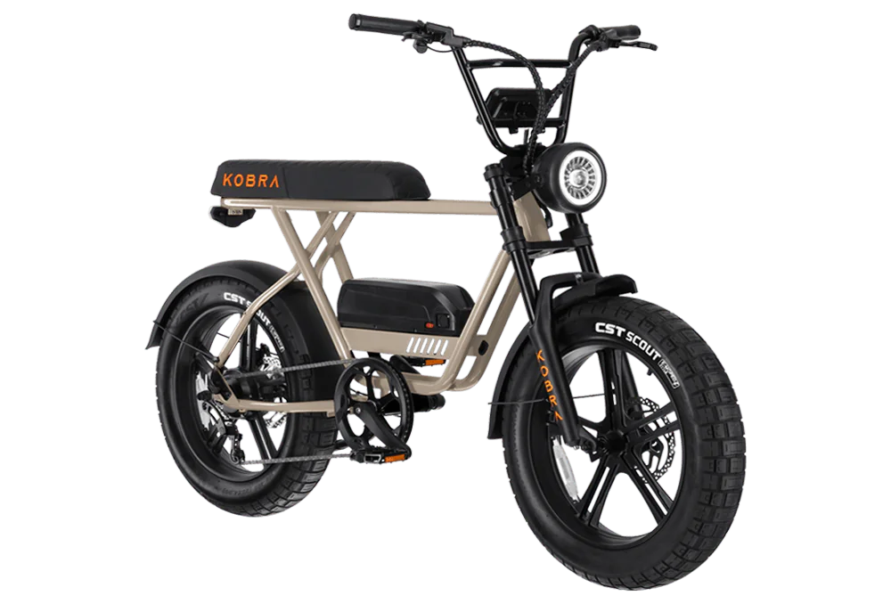 KOBRA V1.2 Premium EU Fatbike Saturn Grijs – 250 W, hydraulische remmen & 768 Wh accu