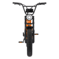 KOBRA V1.2 FatBike Orange (19)